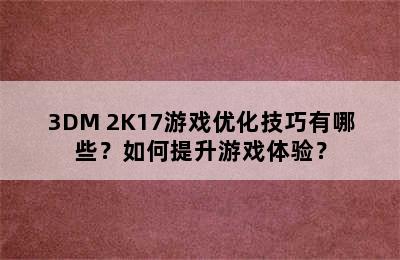 3DM 2K17游戏优化技巧有哪些？如何提升游戏体验？